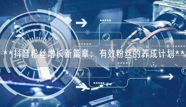 **抖音粉丝增长新篇章：有效粉丝的养成计划**