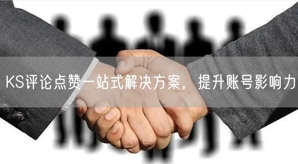 KS评论点赞一站式解决方案，提升账号影响力