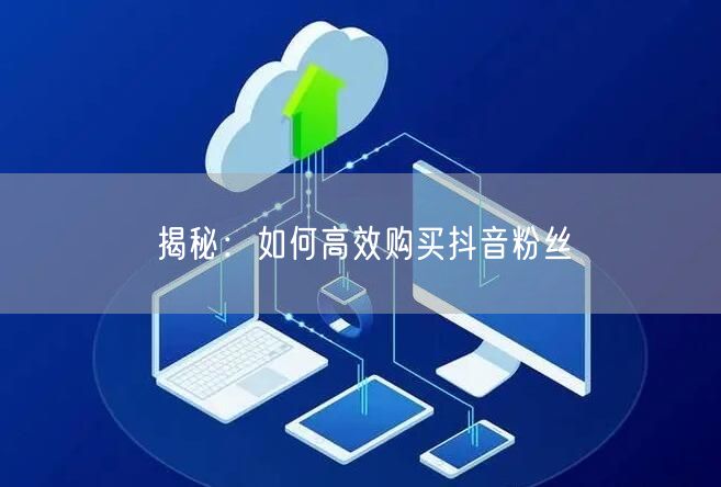 揭秘：如何高效购买抖音粉丝