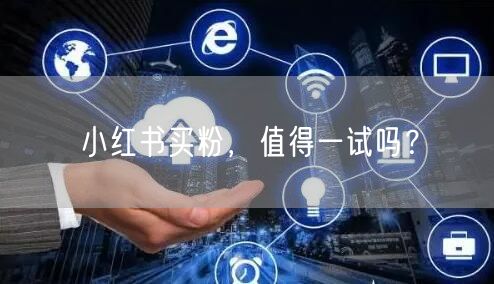 小红书买粉，值得一试吗？