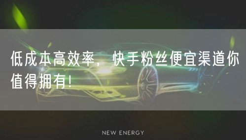低成本高效率，快手粉丝便宜渠道你值得拥有！