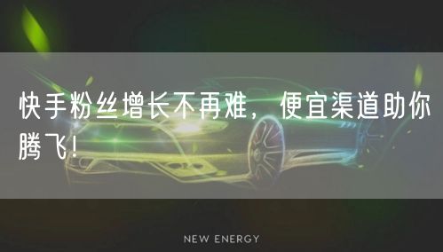快手粉丝增长不再难，便宜渠道助你腾飞！