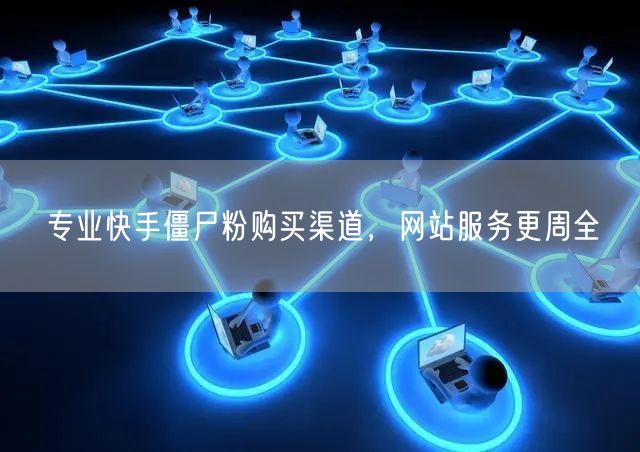 专业快手僵尸粉购买渠道，网站服务更周全