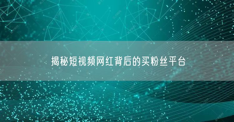 揭秘短视频网红背后的买粉丝平台
