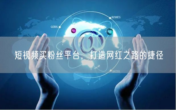 短视频买粉丝平台，打造网红之路的捷径