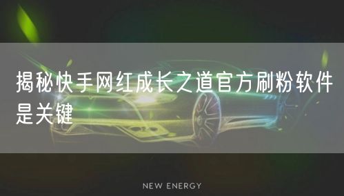 揭秘快手网红成长之道官方刷粉软件是关键