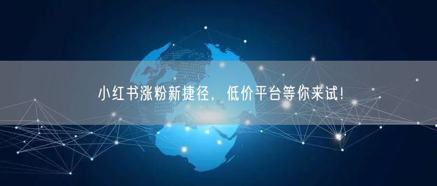 小红书涨粉新捷径，低价平台等你来试！