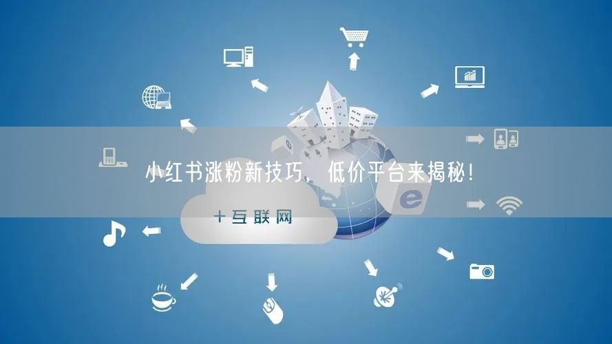 小红书涨粉新技巧，低价平台来揭秘！