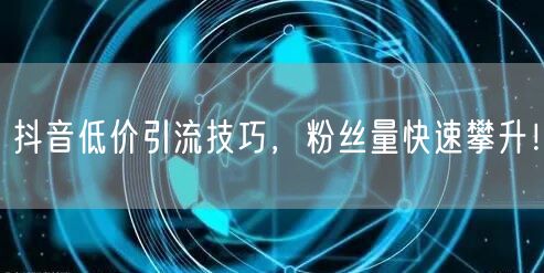 抖音低价引流技巧，粉丝量快速攀升！